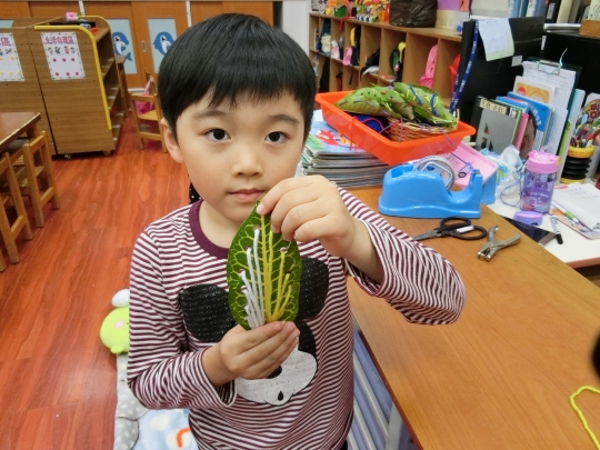 幼兒園金六結分班 中二班