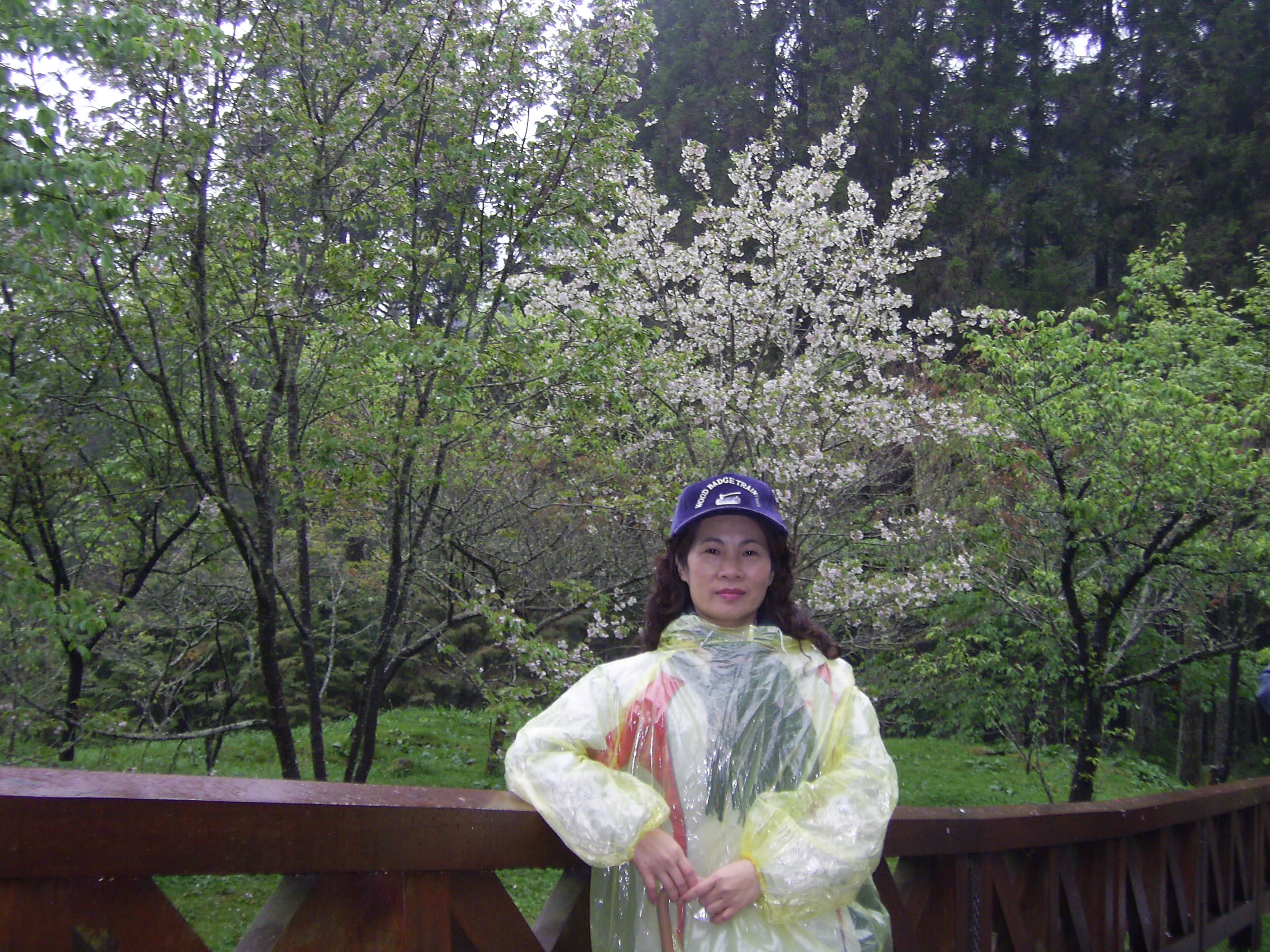 圖文上稿內容圖片