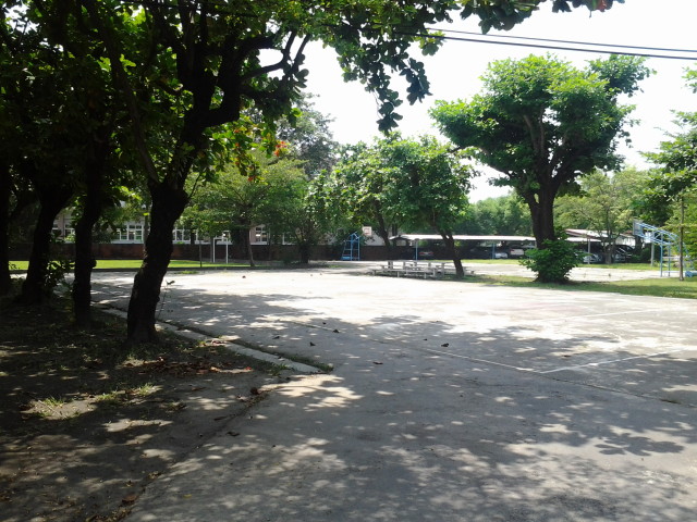 圖文上稿內容圖片